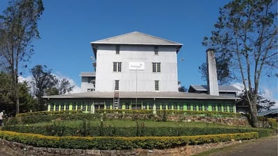 Newburgh Green Tea Factory