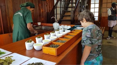 Newburgh Green Tea Factory