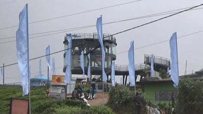 Eagle's Viewpoint