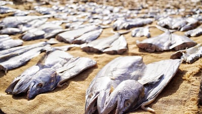 Jaffna Fish market