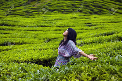 Pilimathalawa Tea Factory