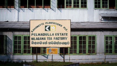 Nilagama Estate