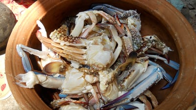 Jaffna Crab Curry