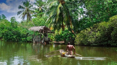 Bentota River