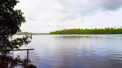 Bentota River