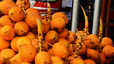 King Coconuts