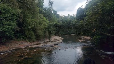 Dumpus Ella Falls