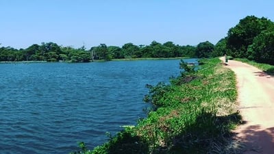 Thalkote Lake