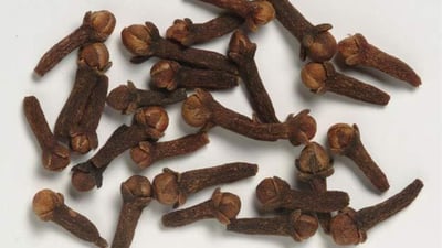 Syzygium aromaticum