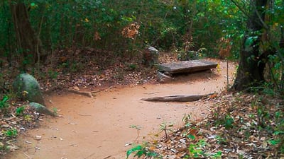 Sri Bodhiraja Forest Hermitage