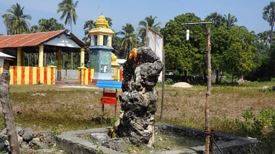 Growing Stone