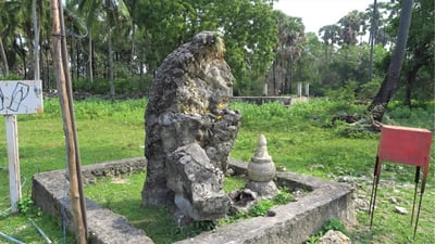 Growing Stone