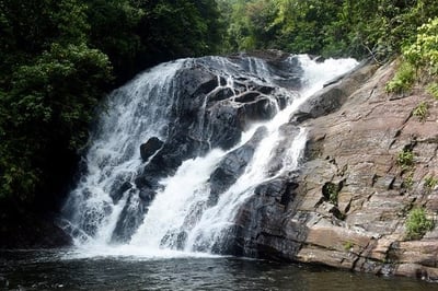 Neluwa City