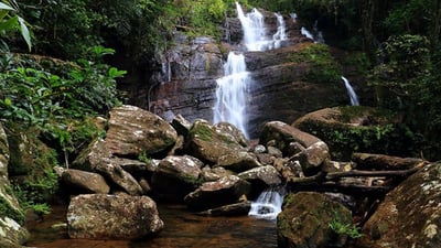 Neluwa City