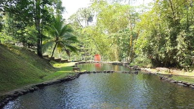 Neluwa City