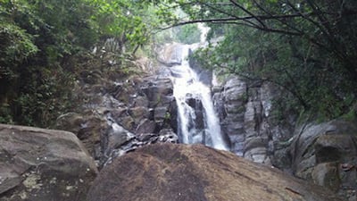 Neluwa City