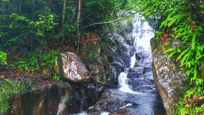 Neluwa City