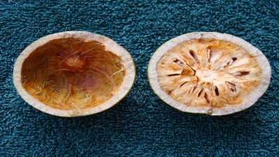 Aegle marmelos