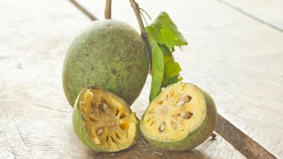 Aegle marmelos