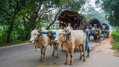 Singhagiri Village Tour