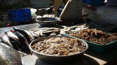 Negombo Fish Market