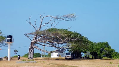 Thalawila