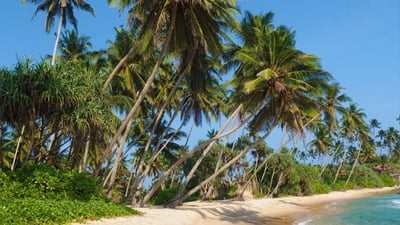 Dikwella Beach