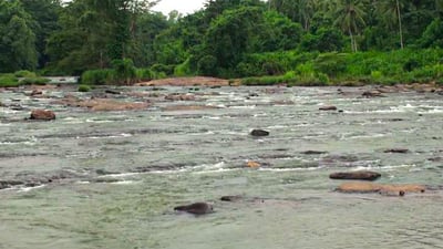 Attanagalu Oya