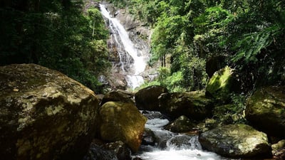 Surathali Ella Falls