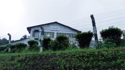 Adawatte Tea Estate