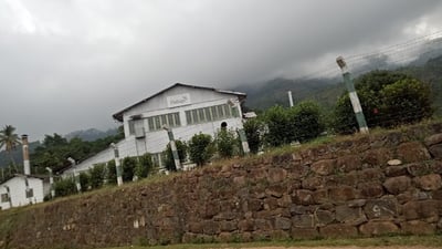 Adawatte Tea Estate