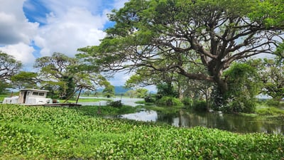 Weerawila Lake
