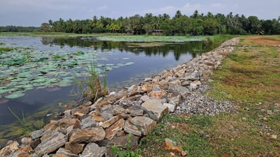 Weerawila Lake