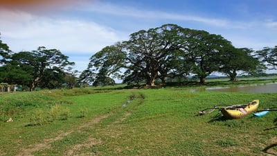 Weerawila Lake