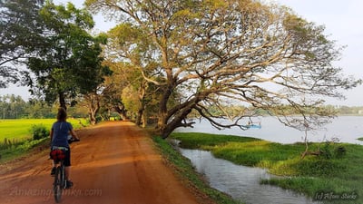 Weerawila Lake