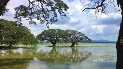 Weerawila Lake