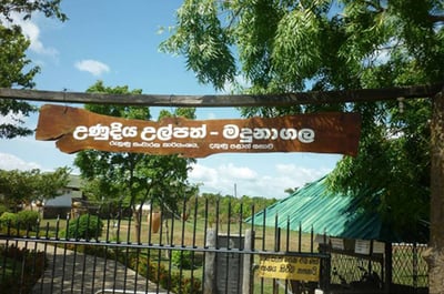 Madunagala Hot Springs