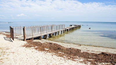 Chaddy Beach