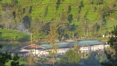 Laxapana Estates