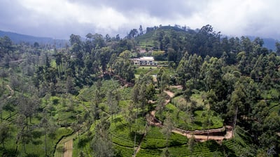 High Forest Estate