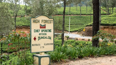 High Forest Estate