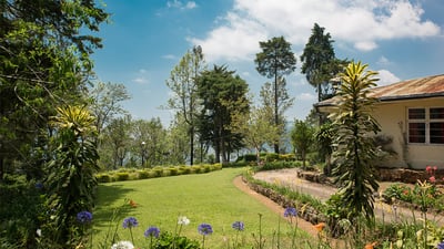 Weddemulle Estate