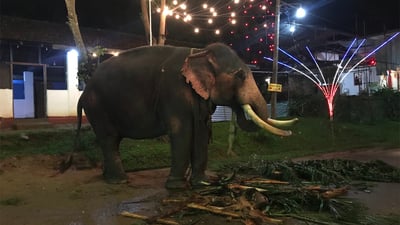 Uggal Aluthnuwara Kataragama Devalaya