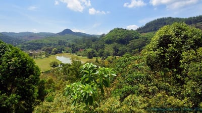 Seethawaka Botanical Garden