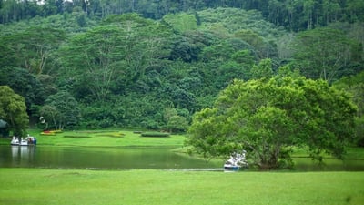 Seethawaka Botanical Garden