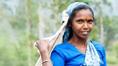 Indian Tamils of Sri Lanka