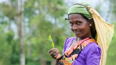 Indian Tamils of Sri Lanka