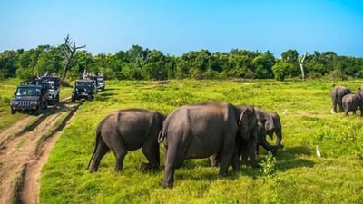 Kollupitiya