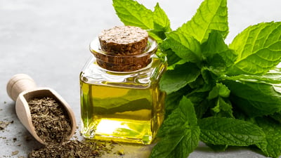 Essential Oils vs. Absolutes