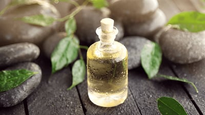 Essential Oils vs. Absolutes